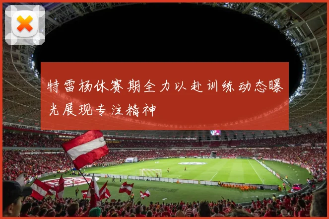 特雷杨休赛期全力以赴训练动态曝光展现专注精神